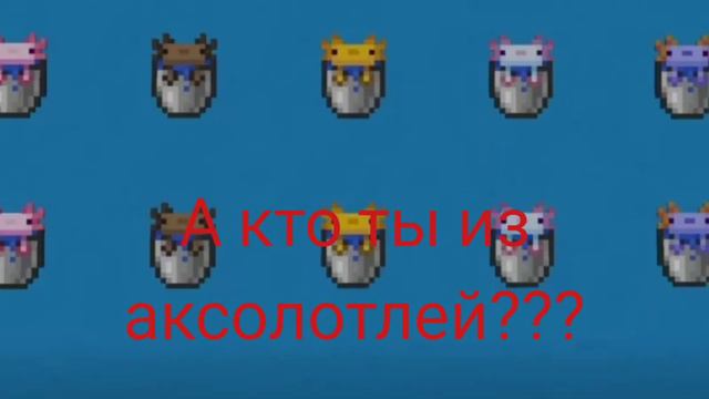 Кто ты из аксолотлей? смотреть онлайн