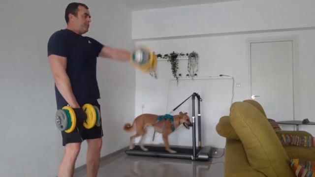 Что делать с гиперактивным псом дома смотреть онлайн