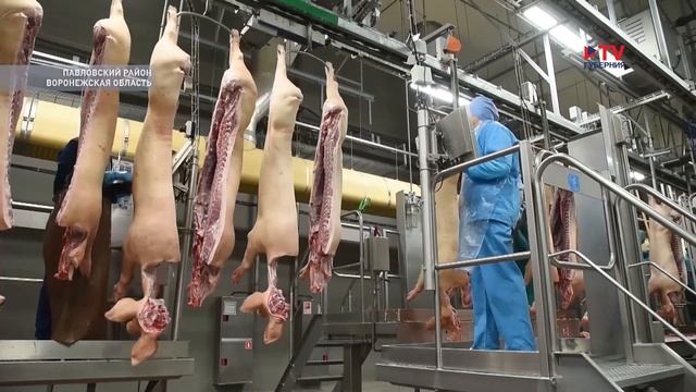 В Воронежской области будет создан образовательный кластер на базе Павловского техникума смотреть онлайн