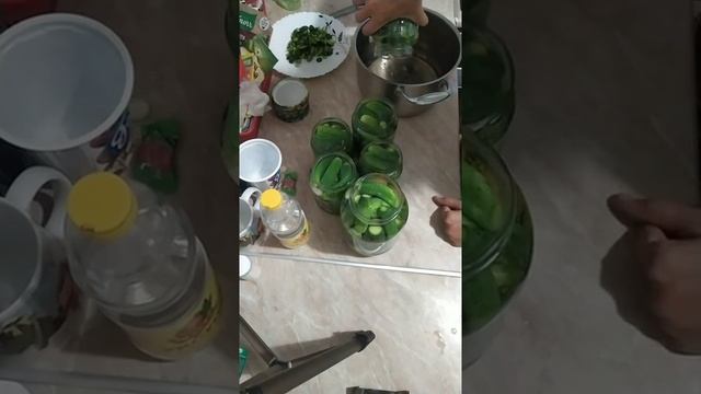 Сладкие маринованные огурцы, патиссоны, овощное ассорти смотреть онлайн