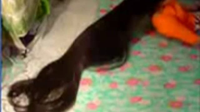 Самые длинные натуральные волосы смотреть онлайн