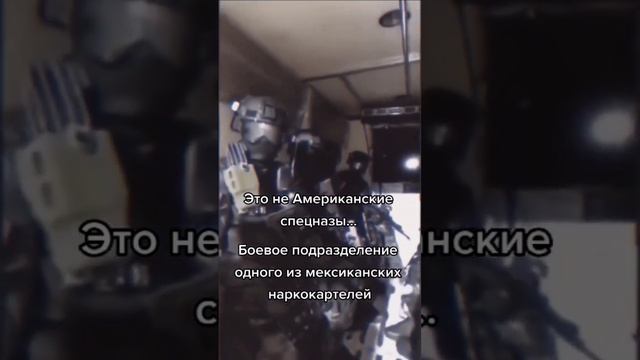 мексиканские картели это очень опасные преступные группировки мира и у картелей бойцы воружены так смотреть онлайн