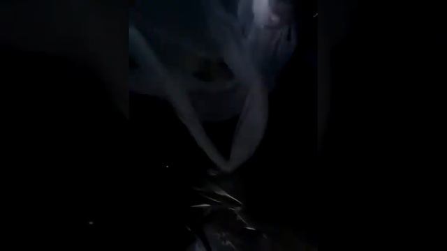 fake ficus upcycle for the wedding? смотреть онлайн