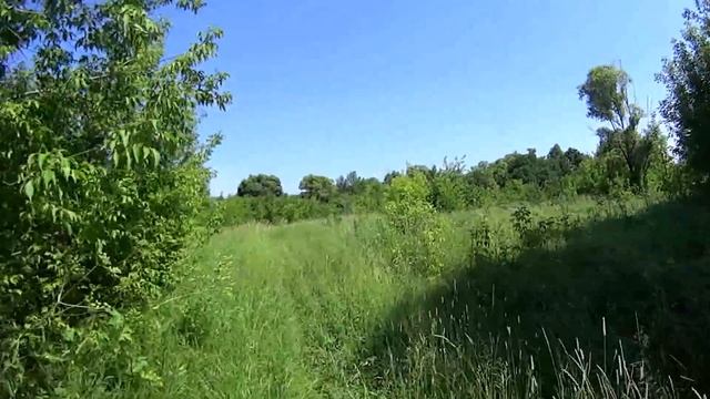 Заброшенная деревня в живописном месте Тамбовской области