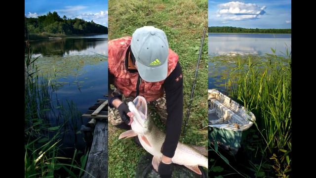 ЛОВЛЯ КРУПНОЙ ЩУКИ.РЫБАЛКА НА ЩУКУ. Щука на спиннинг.Щука на вертушки. смотреть онлайн