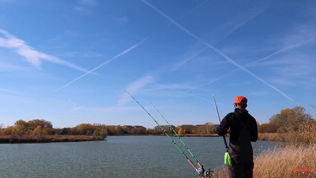Fall Catfishing Using Cut Bait! (Bank Fishing) смотреть онлайн