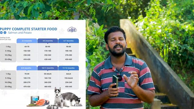 30 Days to 6 months puppies food chart ? |Puppies food shedule | Puppies feeding Ratio Tamil смотреть онлайн