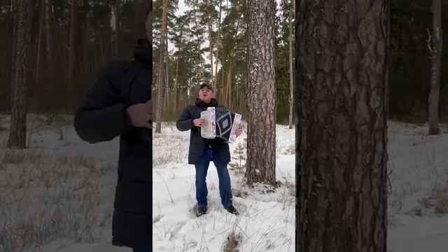Мужик зажигает в мороз на гармони смотреть онлайн