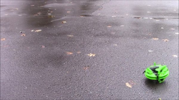 TerraSect Remote Control Transforming Vehicle