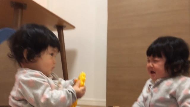 【おもちゃでケンカ】生後8ヶ月双子赤ちゃん смотреть онлайн