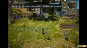Black Desert: квест Что в кувшине?