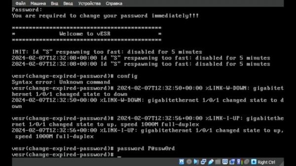 Установка и первые настройки Eltex vEsr