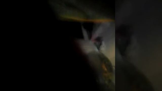 МОИ РЫБКИ ЭТИ РЫБЫ БЕЗ ВОЗДУХА И ФИЛЬТРА ЖИВУТ √ смотреть онлайн