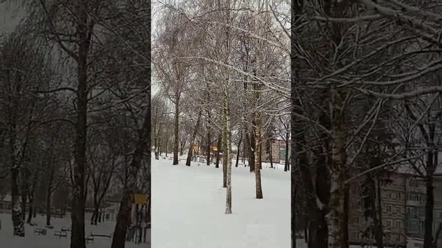 ЗИМНИЕ БЕРЁЗКИ смотреть онлайн