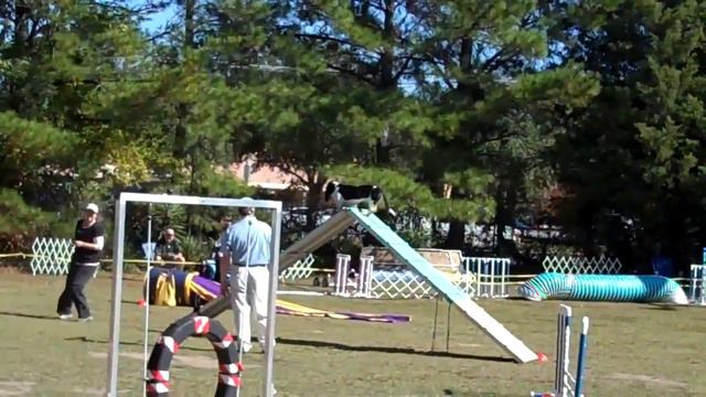The slowest Agility Run EVER! смотреть онлайн