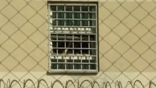 Первые кадры Саакашвили из тюремной камеры. Он поприветствовал митингующих смотреть онлайн