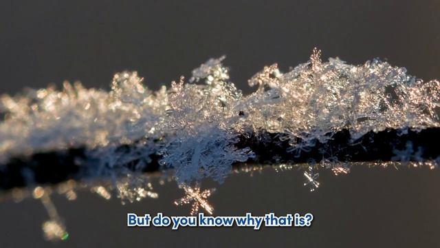 Check Out These INCREDIBLE Facts FROM THE SKY! | Science With Echo смотреть онлайн