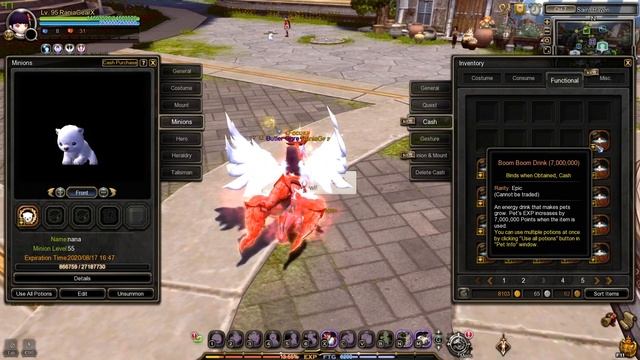 How Many Pet Boom Boom for Level 60 Epic Pet? Dragon Nest SEA смотреть онлайн