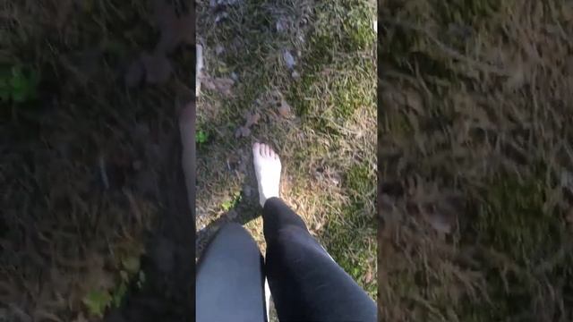 В лесу босиком смотреть онлайн