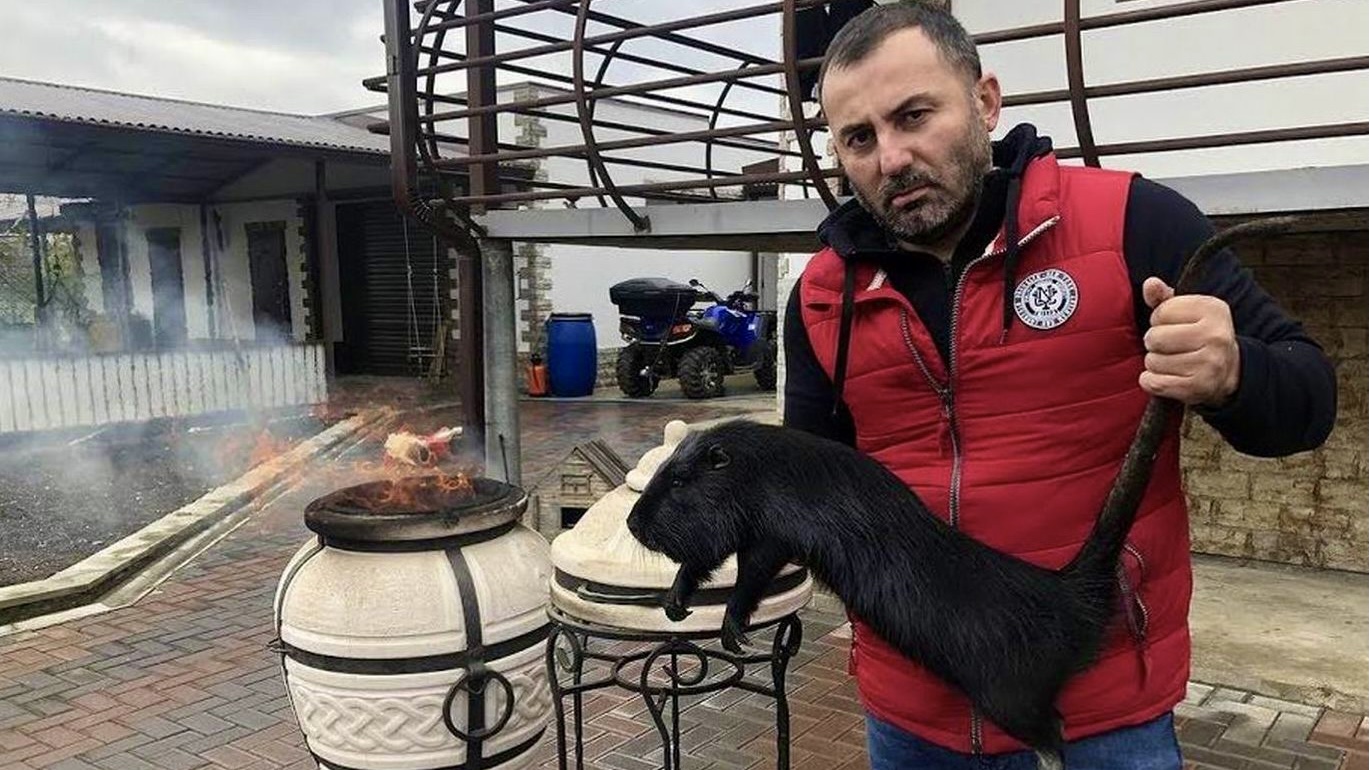 МЯСО в ТАНДЫРЕ!! ШАШЛЫК из нутрии в ТАНДЫРЕ. смотреть онлайн