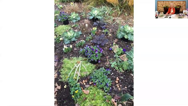 Fall Bulbs смотреть онлайн