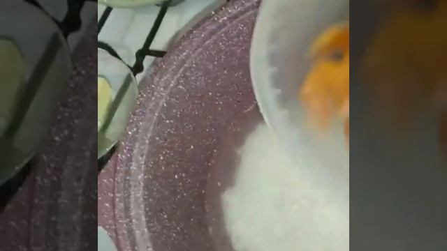 Магия с Иллюзиями и Обманами