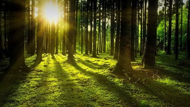 В деревне старушка осталась вдовой... стих-свидетельство смотреть онлайн