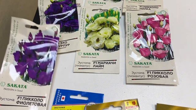 ВРЕМЯ ВЫБИРАТЬ ЭУСТОМУ смотреть онлайн