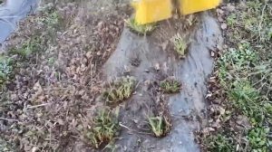 Щётка для клубники на триммер