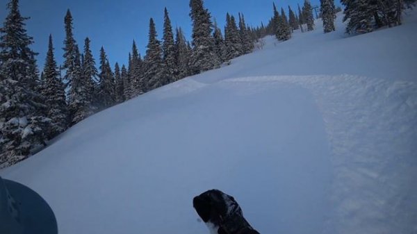 Шерегеш - поймать пухляк!!!