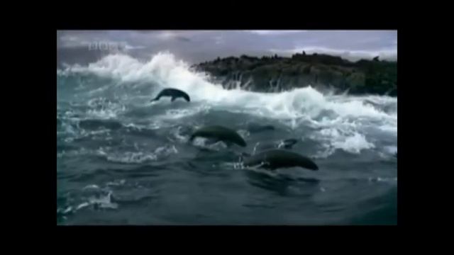 Динара с днем рождения.avi смотреть онлайн