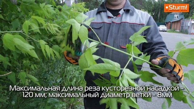 Чем подровнять кусты и газон на участке? Кусторезы аккумуляторные Sturm! CHT36 и CHT3601 смотреть онлайн