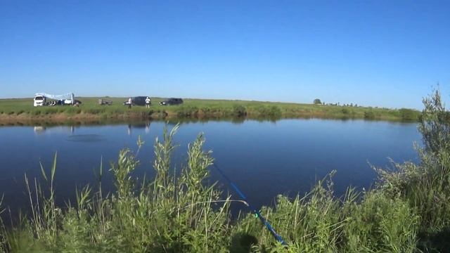 Щука и Подъязок смотреть онлайн