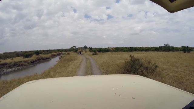 Wild Africa!!!! смотреть онлайн