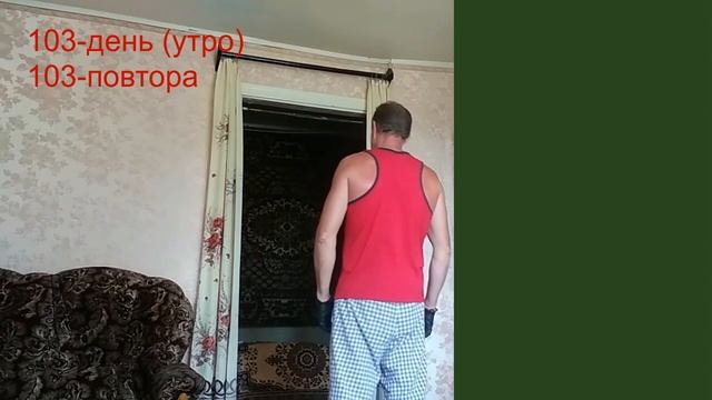 103 день подтягивания на турнике (утро-вечер). увеличение подтягивания на перекладине смотреть онлайн