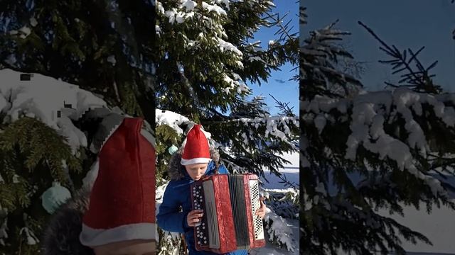 ,, Рождественские колокольчики " на баяне.,,Jingle bells" на баяне в лесу смотреть онлайн