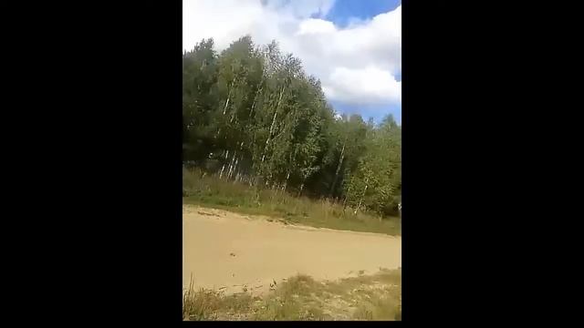 Реальные гонки на выжывание (реально врезались) смотреть онлайн