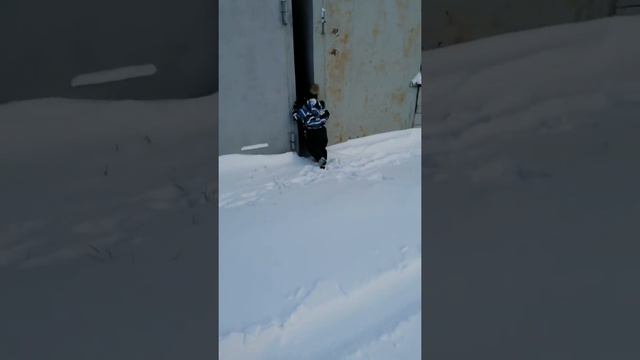 Человек собаке друг смотреть онлайн