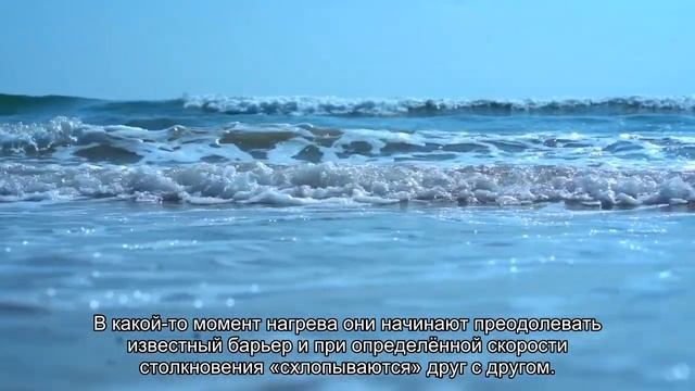 На самом деле дерево растет не из земли (вы этого точно не знали) смотреть онлайн