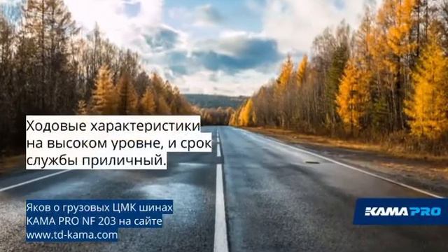 Отзыв о KAMA PRO NF 203 смотреть онлайн