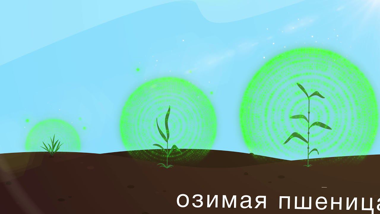 Инпут смотреть онлайн
