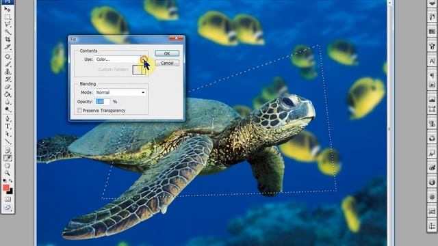 Lasso Tool. Инструмент свободного выделения. Часть вторая.
