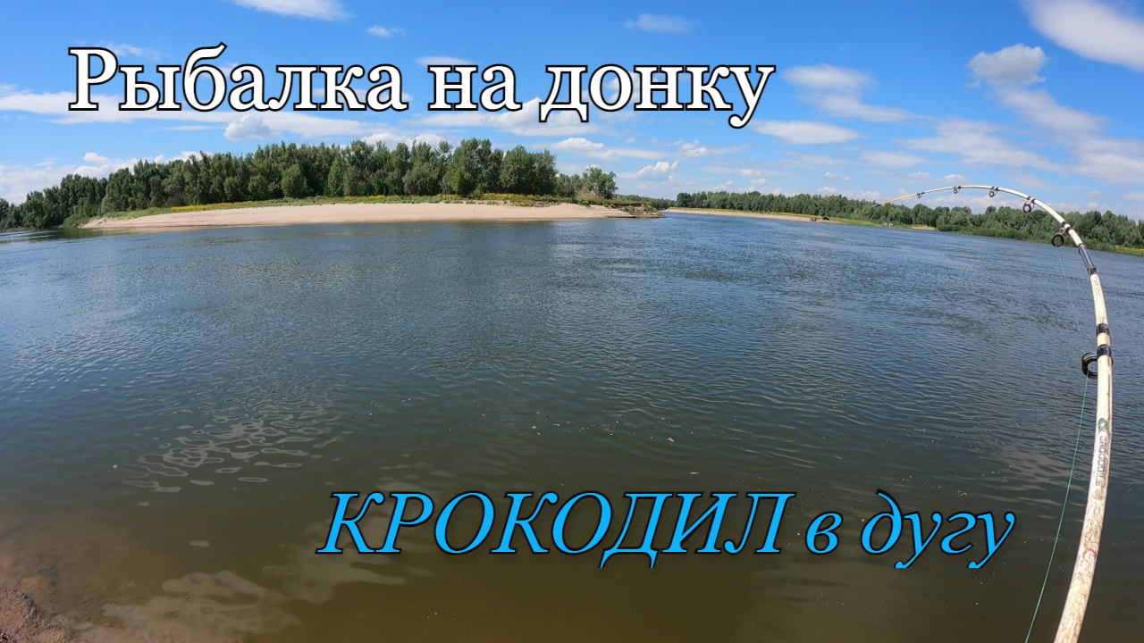 Рыбалка на донки река АХТУБА.В прилове САЗАН,карась,СУДАК и много ЧЕХОНИ. смотреть онлайн