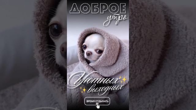 Доброе зимнее утро смотреть онлайн