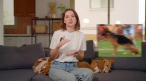 НЕ ЗАВОДИТЕ ЭТИ ПОРОДЫ! Какие собаки САМЫЕ СЛОЖНЫЕ в обучении?