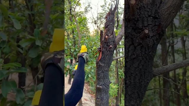 IMOUMLIVE Electric Pruning Shears смотреть онлайн