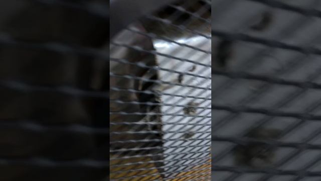 Тепловая пушка deko смотреть онлайн