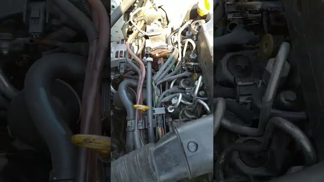 Renault kangoo 1.5dci смотреть онлайн