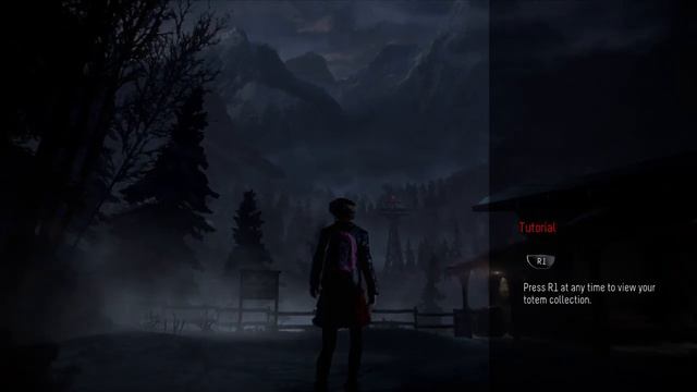 The night begins until dawn смотреть онлайн