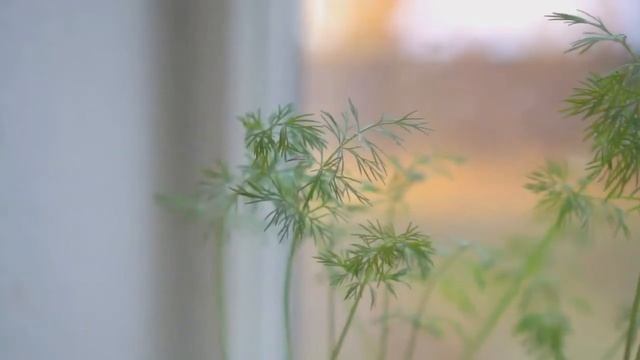 Прибыльный бизнес выращивание зелени на продажу смотреть онлайн